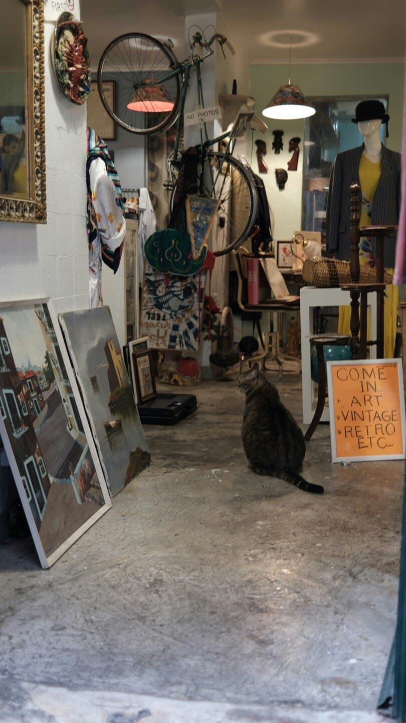 Galleries to browse