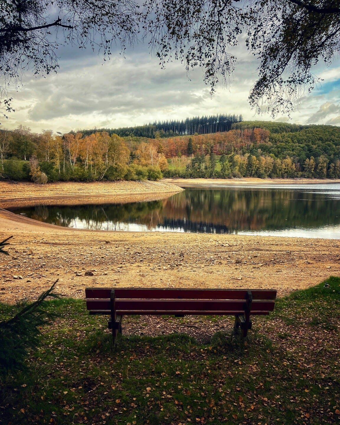 My favorite evenings by the lake