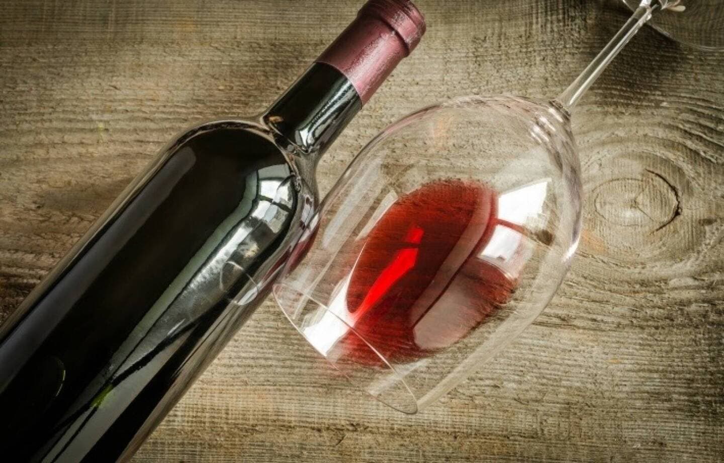 Vinhos Favoritos