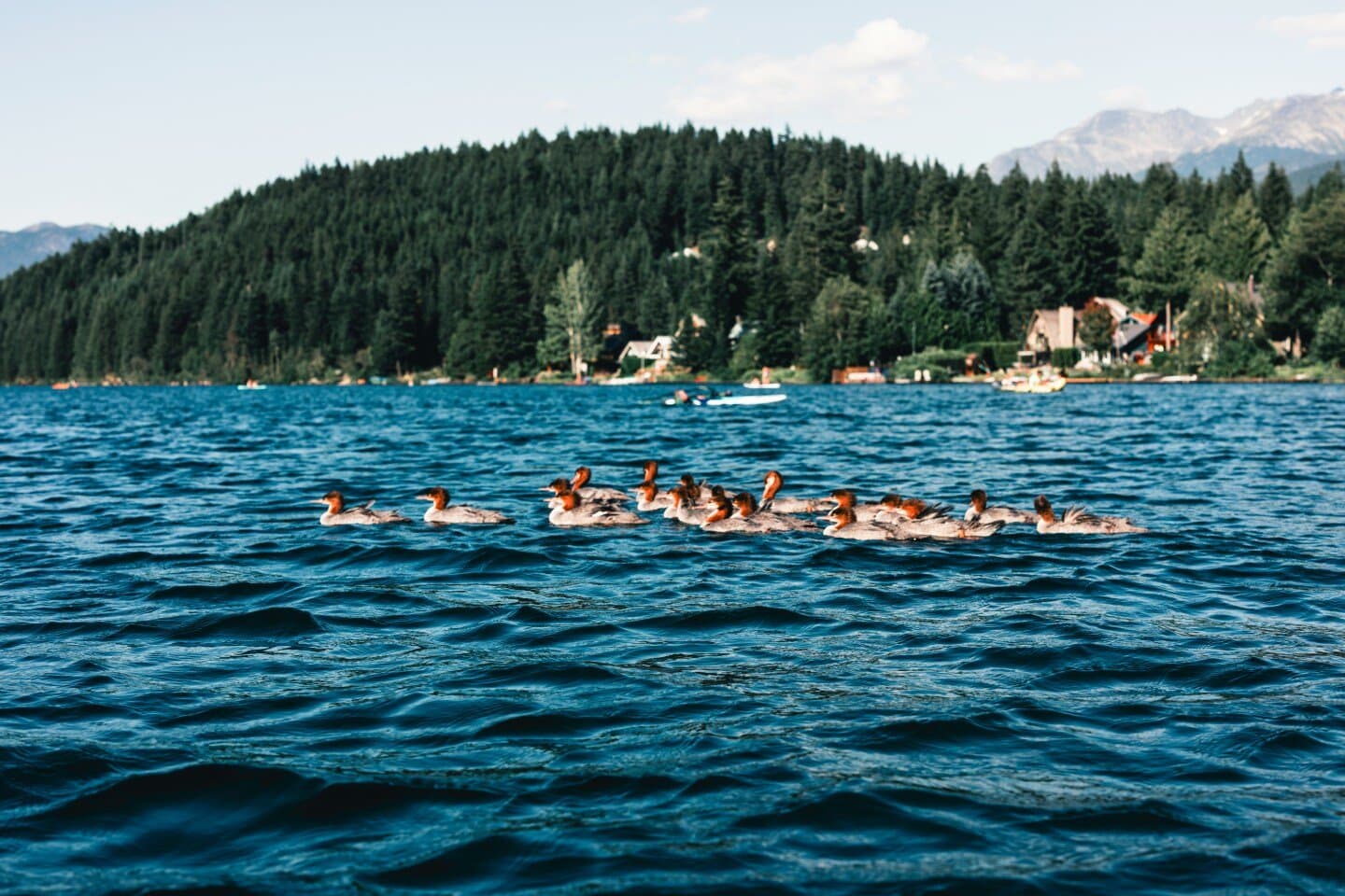 Sports venues in Bern