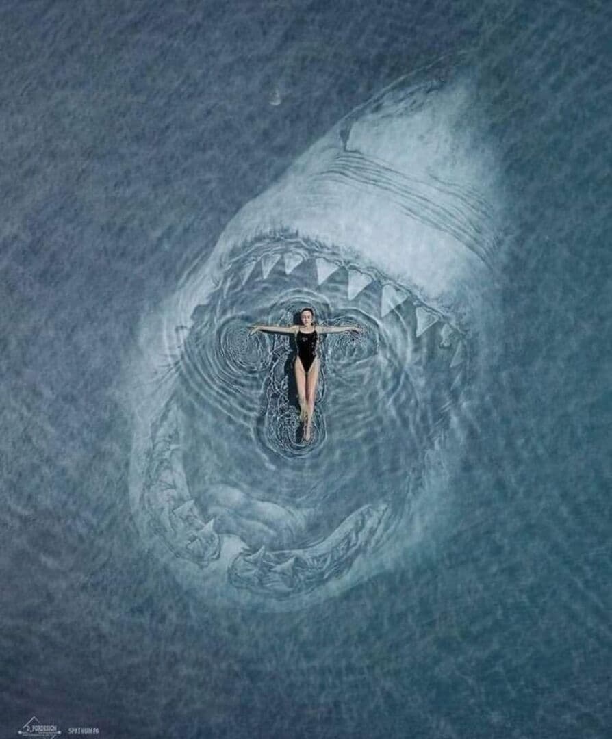 Movies: Shark x People