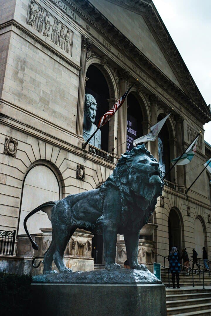 Chicago Museums This Gallery-Hopping Local Can't Stop Recommending