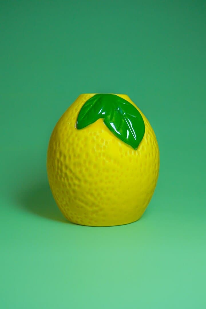 Recepies with lemon
