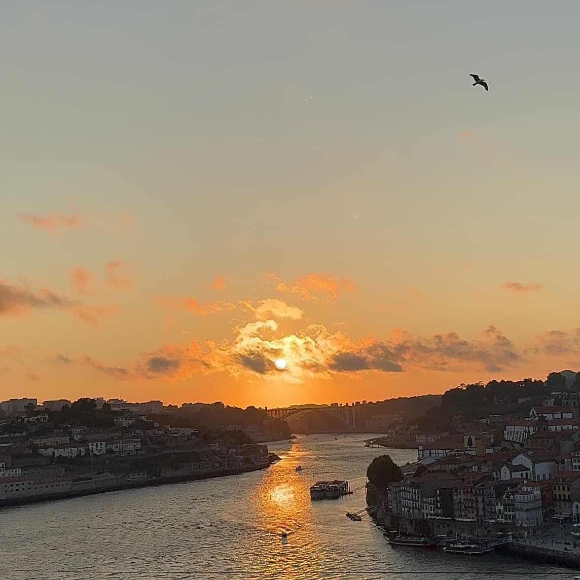 Pôr do Sol / Sunset