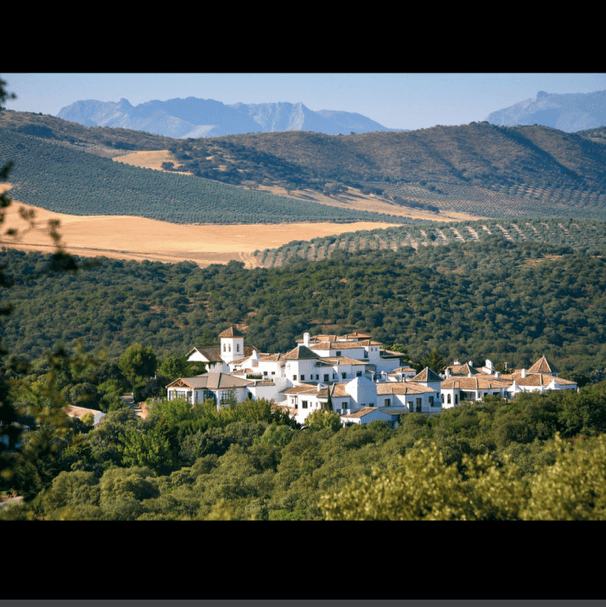 Hotels (Equestrian Escapes)