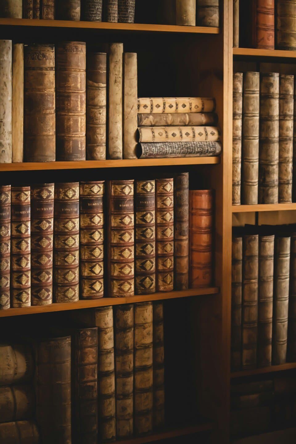 Used bookstores and bookstores that I love
