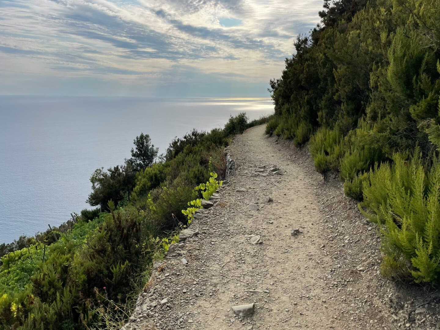 Cortadito Trail Picks