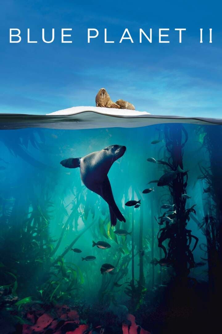Nature on Film: Documentaries of the Wild