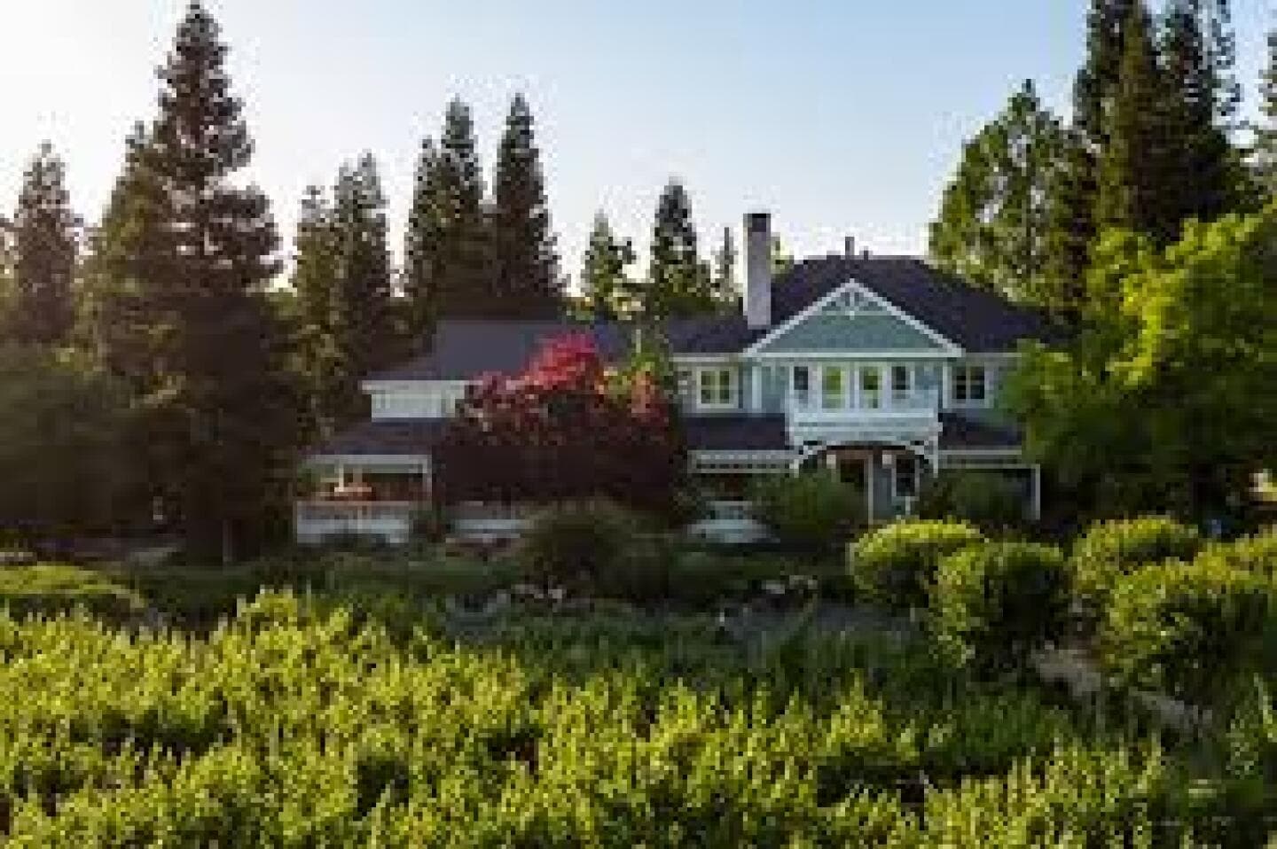 Top Wine Tasting Experiences in Napa Valley