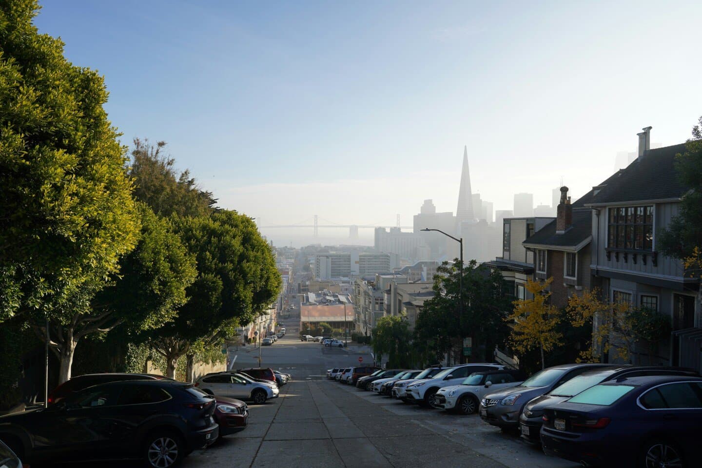San Francisco's Museums Worth Diversifying Your Weekend Around