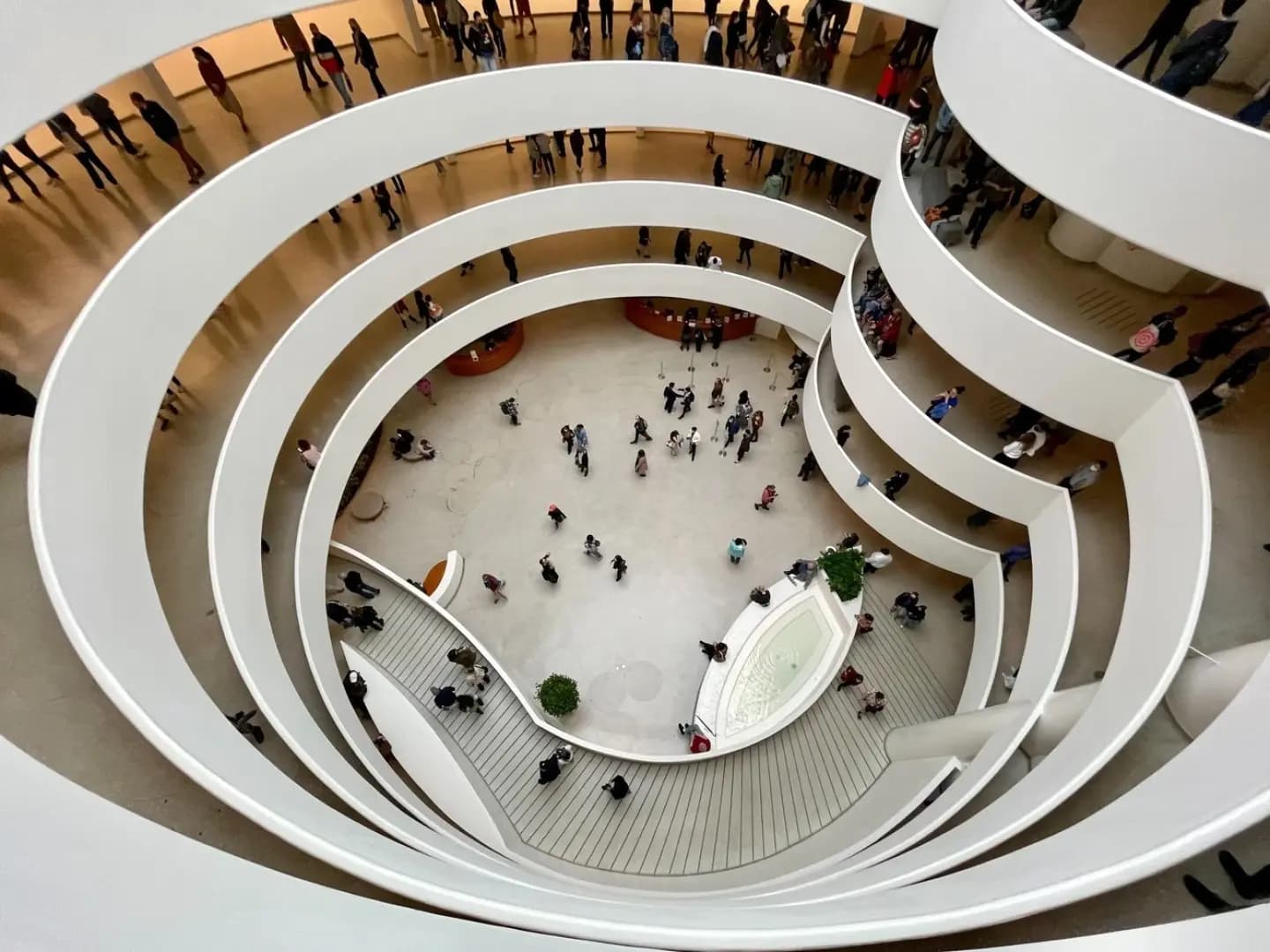 Must-Visit Museums in New York City