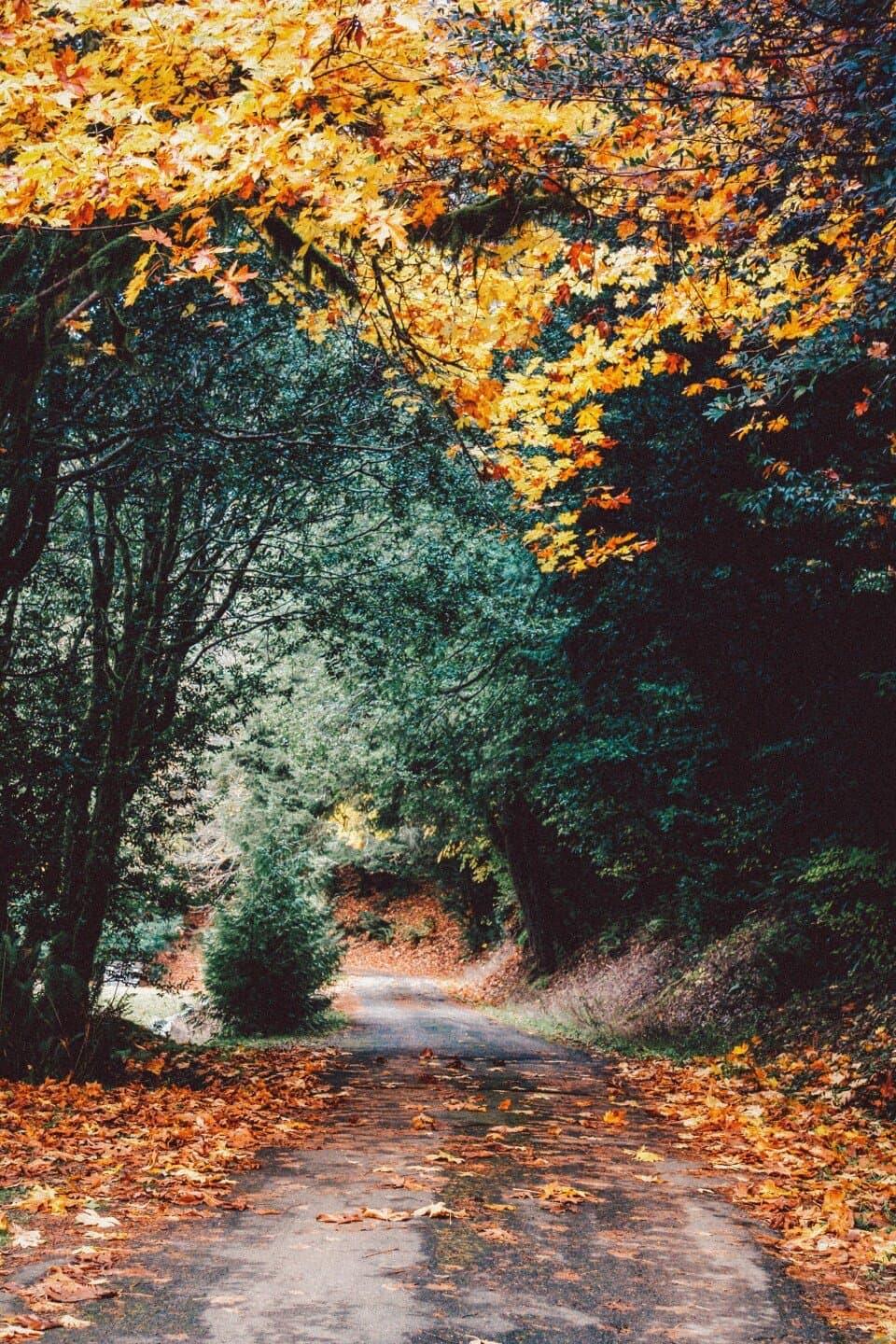Orford Road and beyond