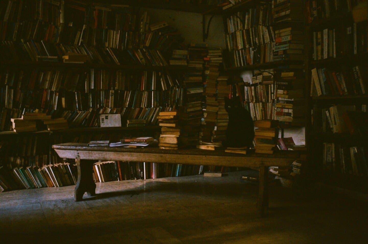 Bookstores I actually go back to