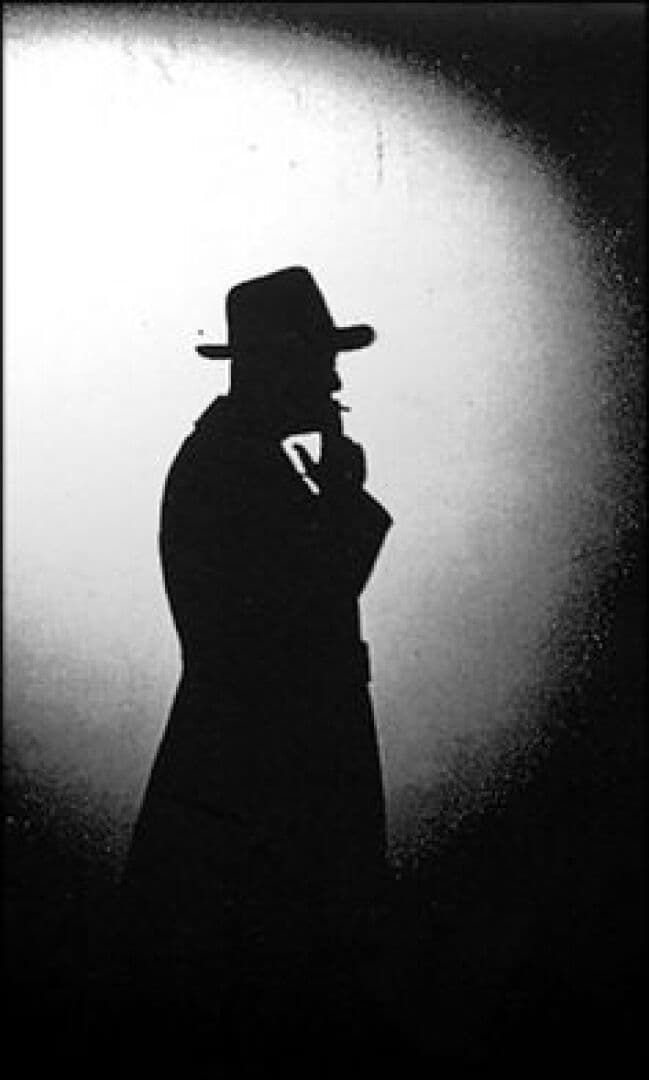 Noir Mysteries and Psychological Thrillers