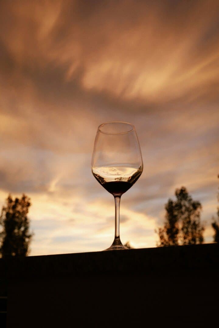 11 vinhos que eu sempre peço pra abrir depois de um dia difícil