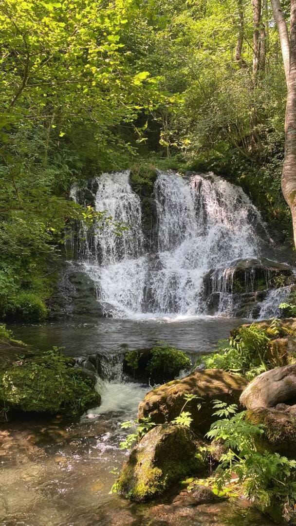 Hikes in California with Waterfalls