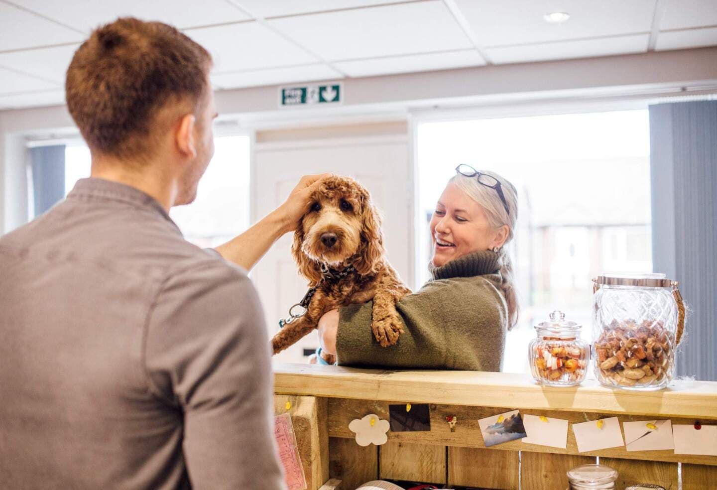 Top Pet-Friendly Hotels in North America