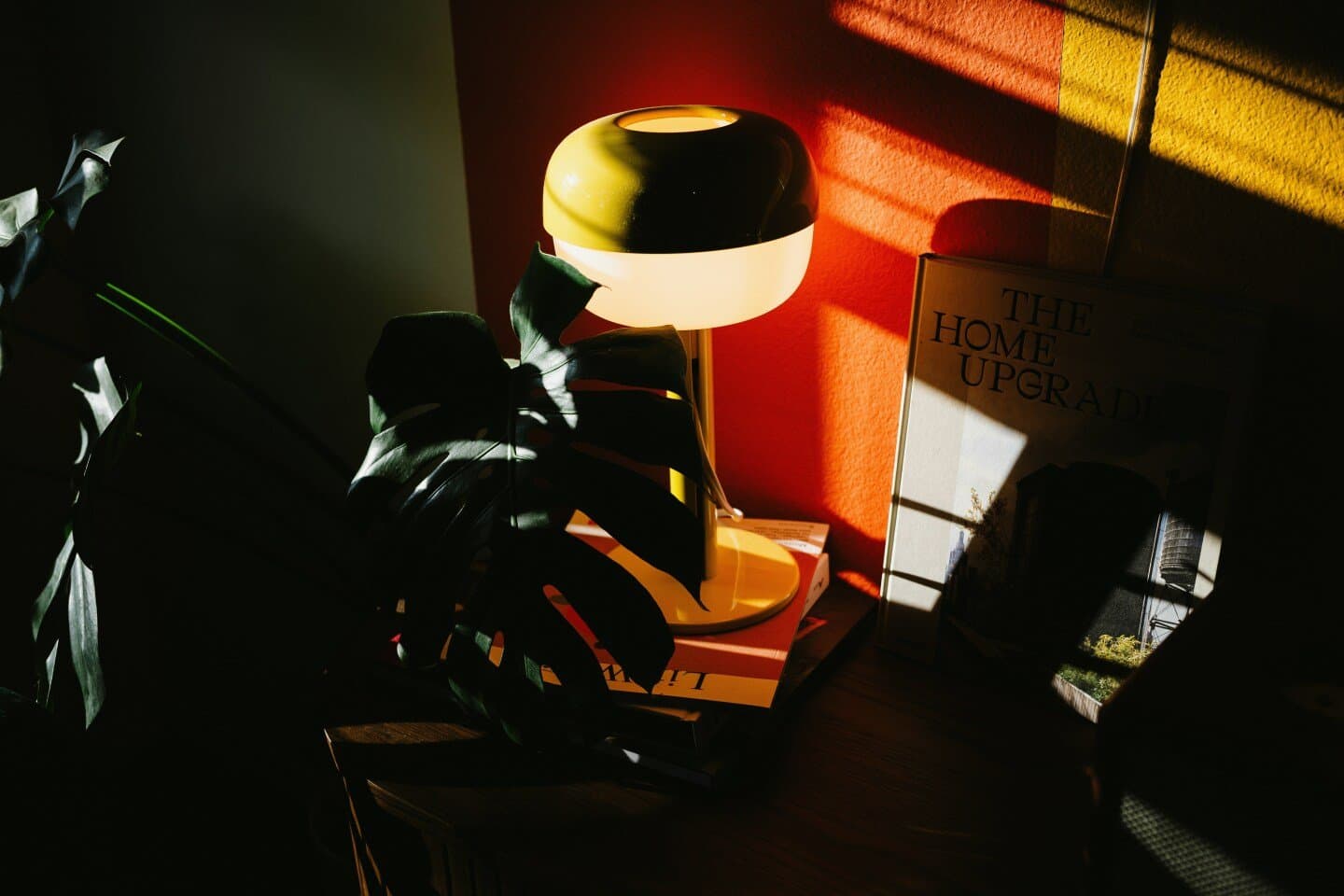 Books that earned a shelf spot