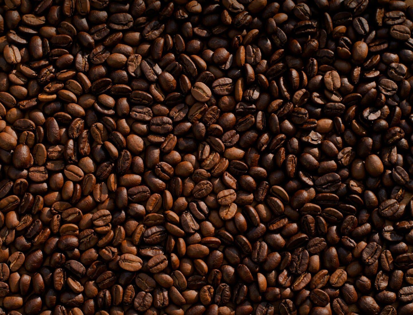 Bernal Coffee Rotation