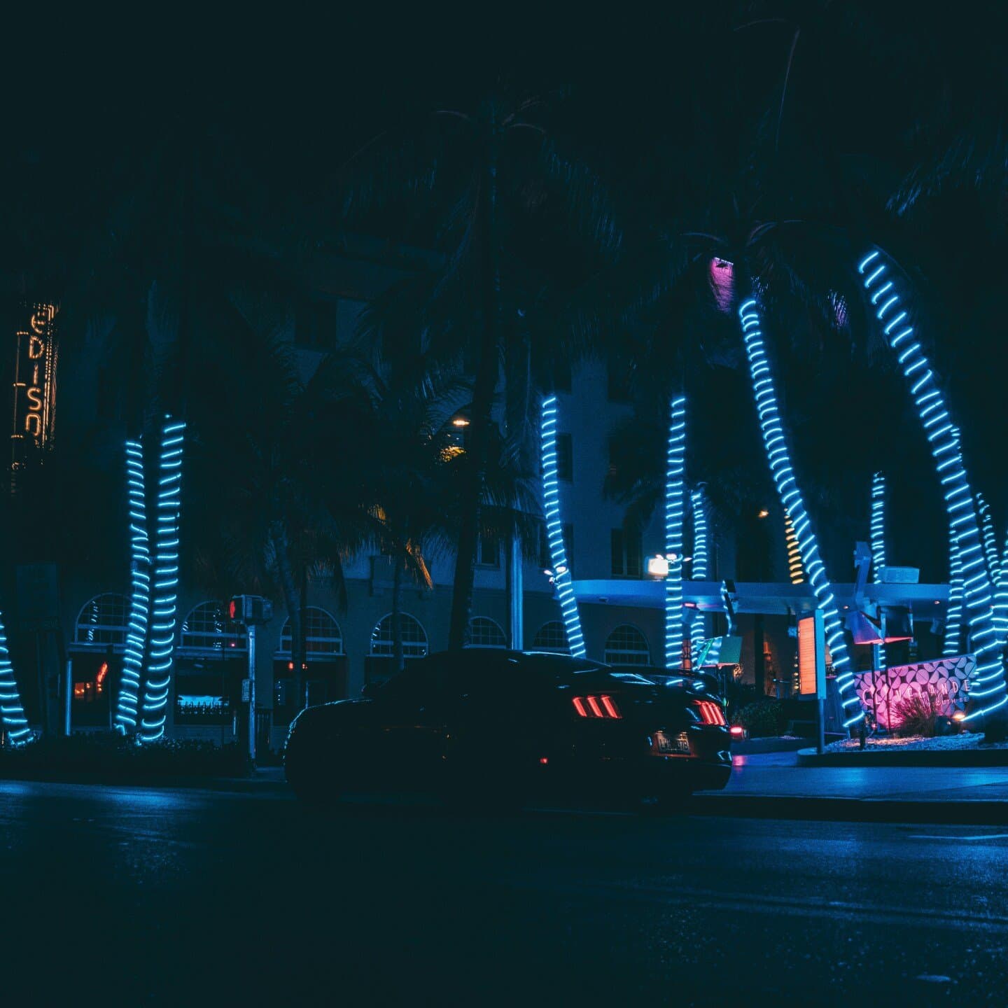 Miami night rotation