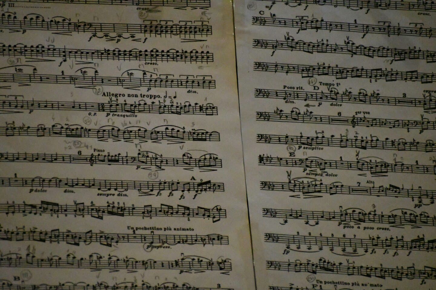 Concertos que apanhei este semestre