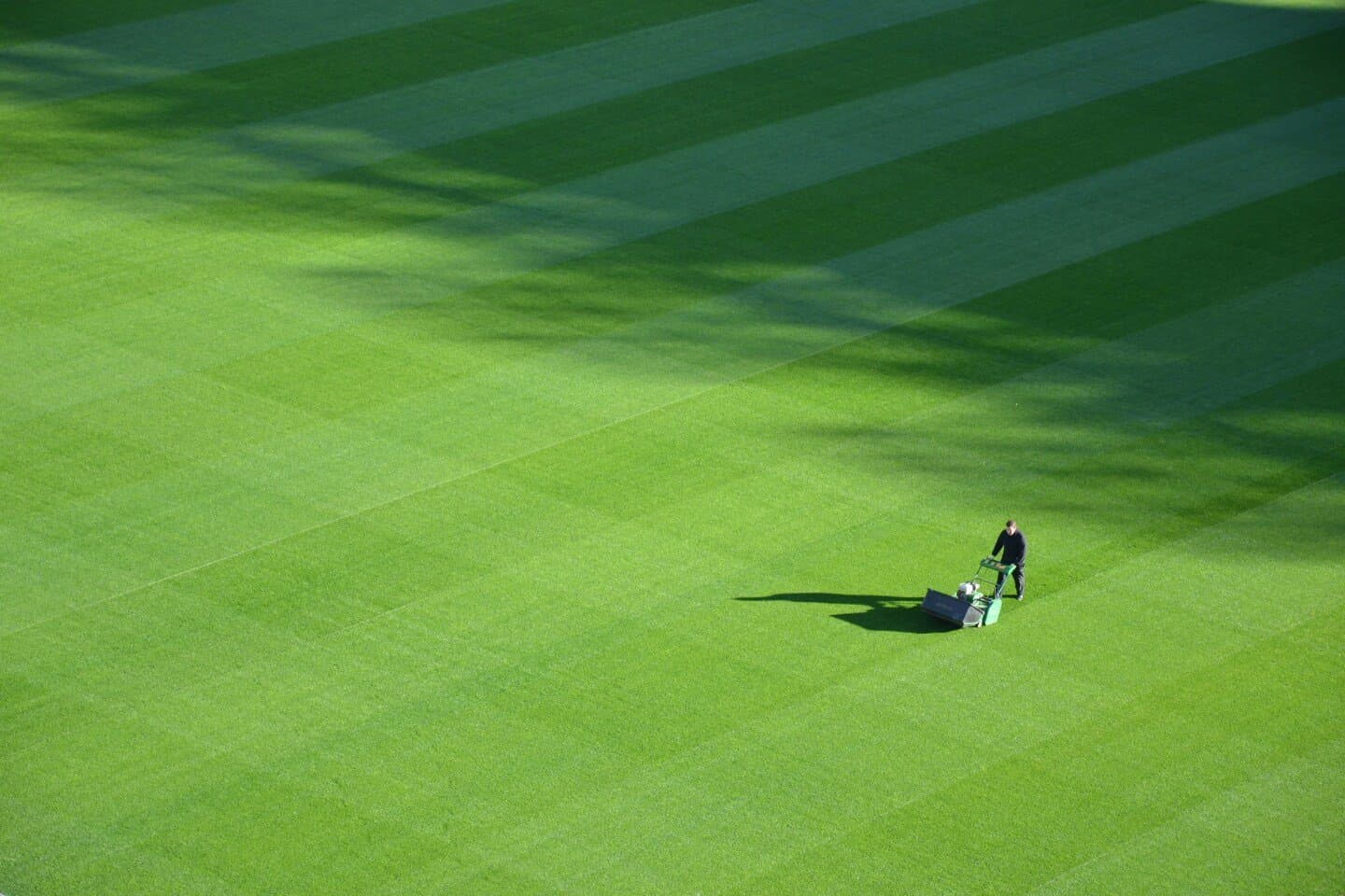 Grounds I Rate