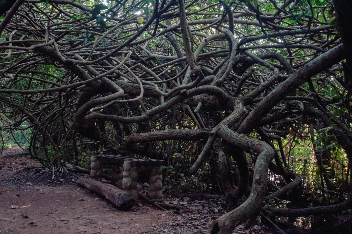 Bendy Tree plans