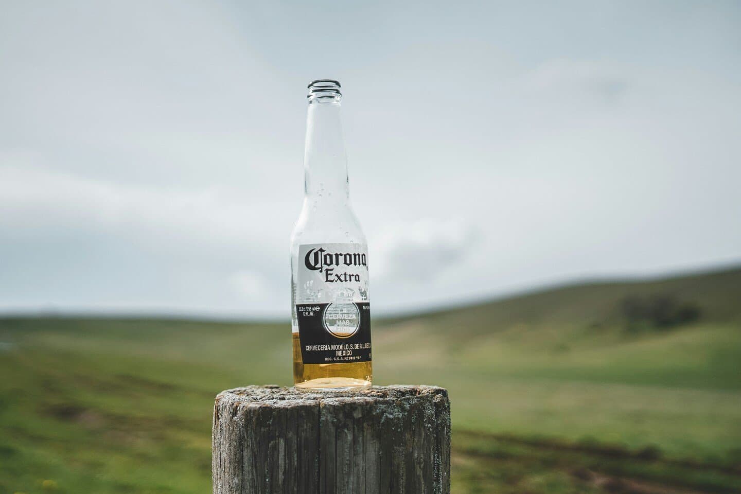 Beers that are worth a visit to the bar.