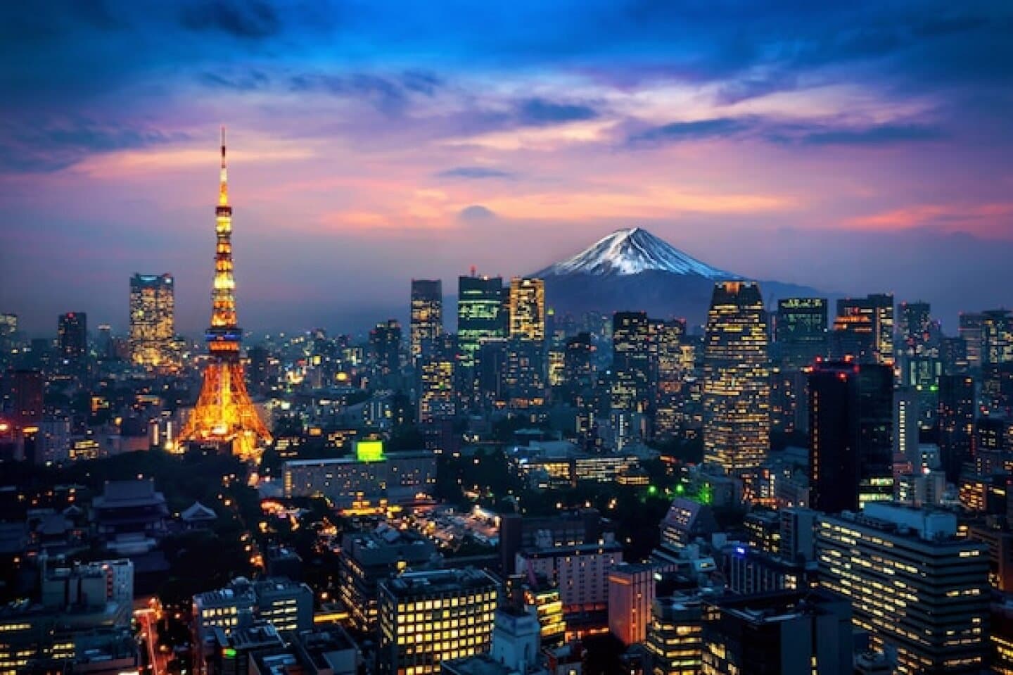Gourmet Food Tour of Tokyo