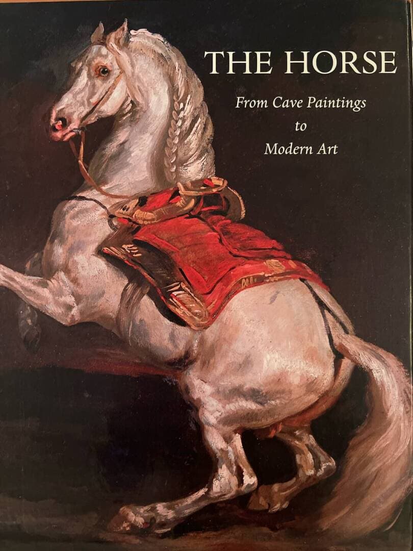 Horse Blogs