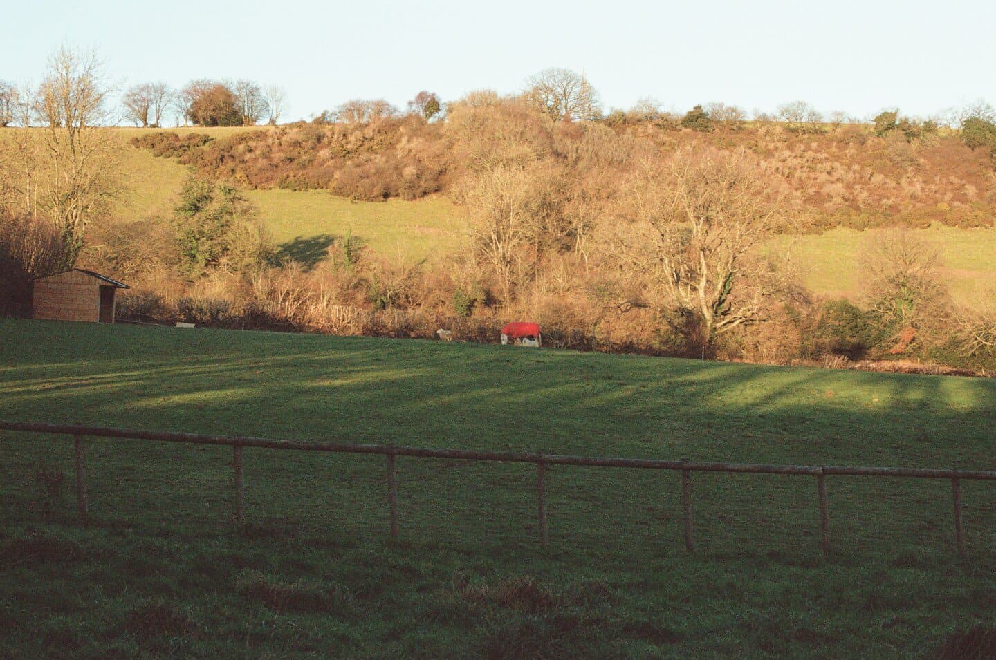 Home field escapes