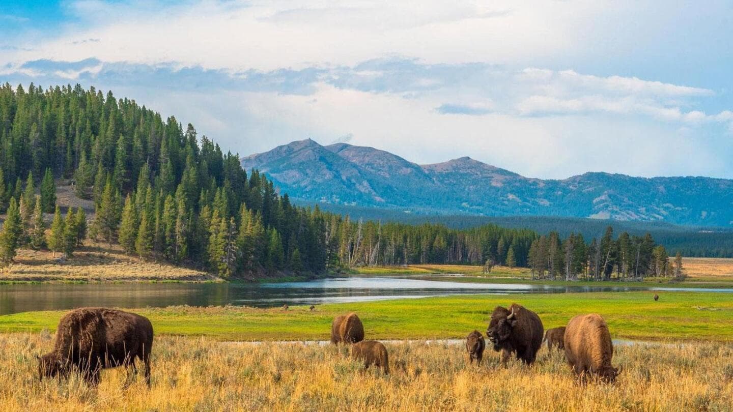 National Parks to Visit in the USA