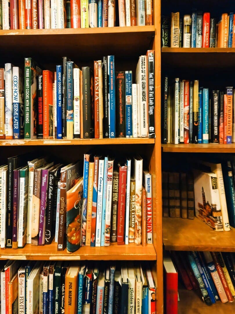 Books That Followed Me Home