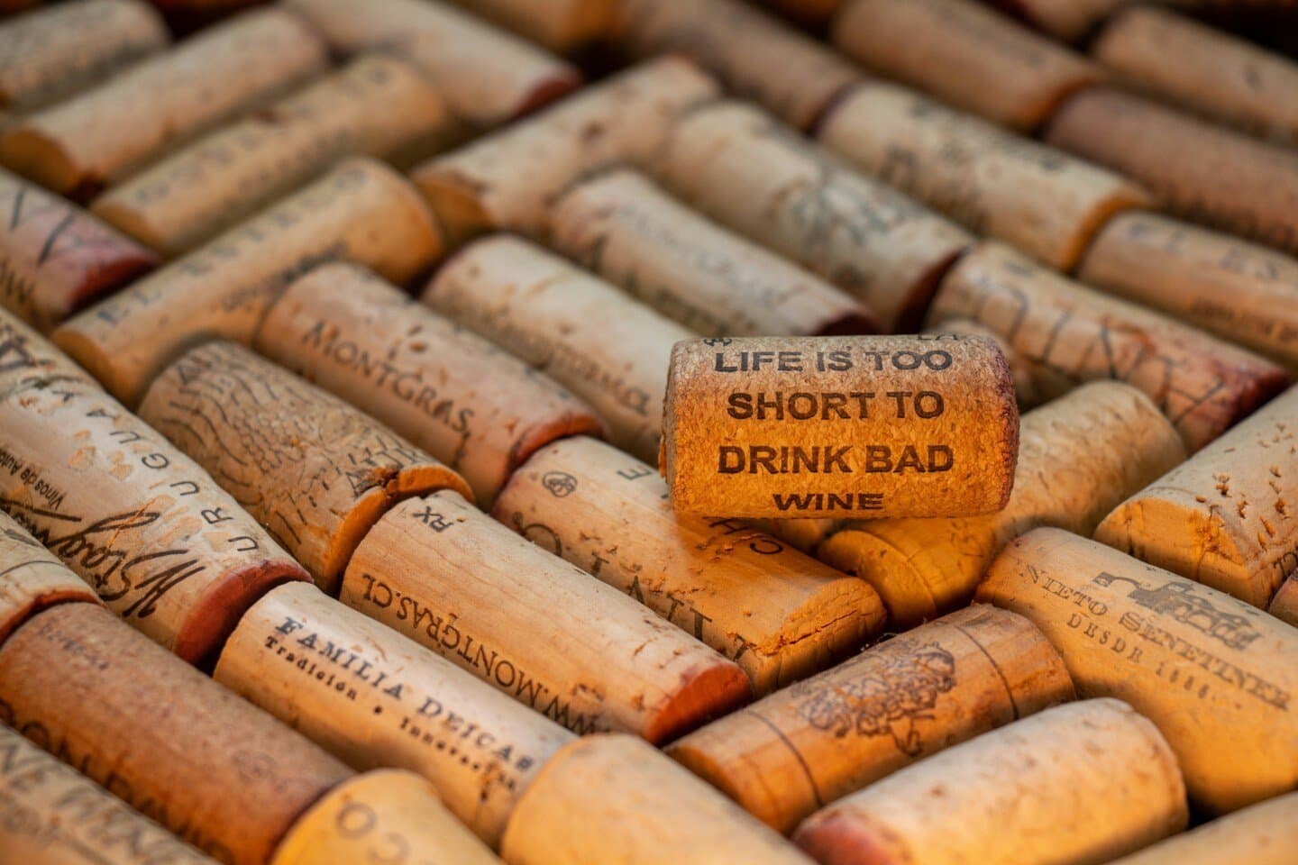 Wine Bars I Trust