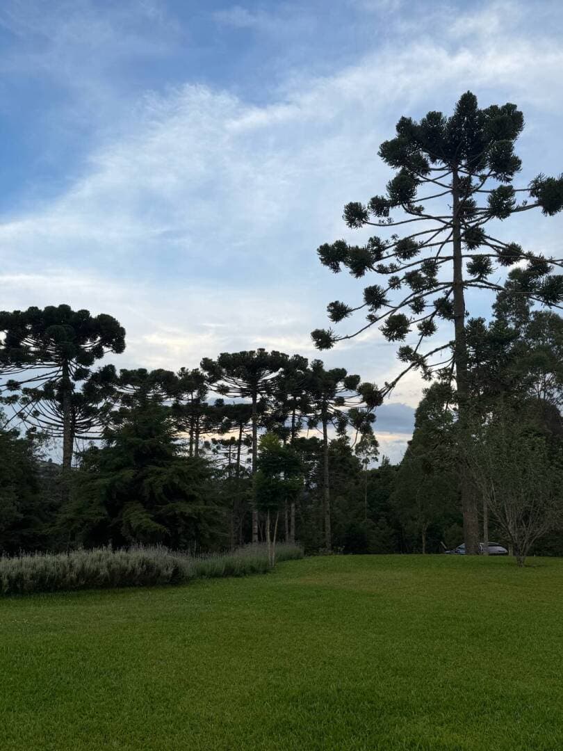 Restaurantes em Campos do Jordao