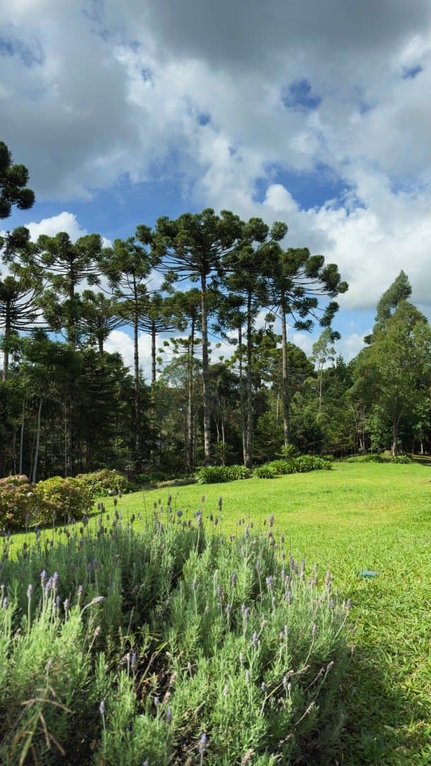 Restaurantes em Campos do Jordão