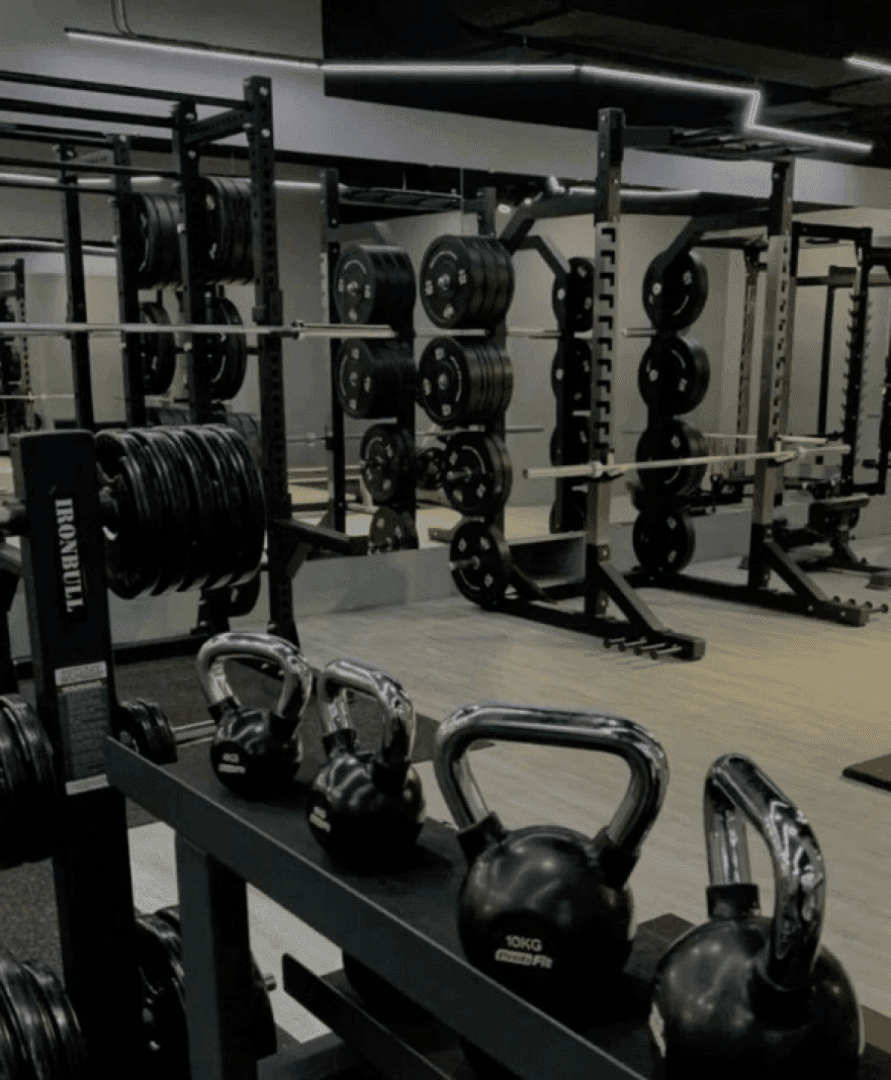 Fitness Apps