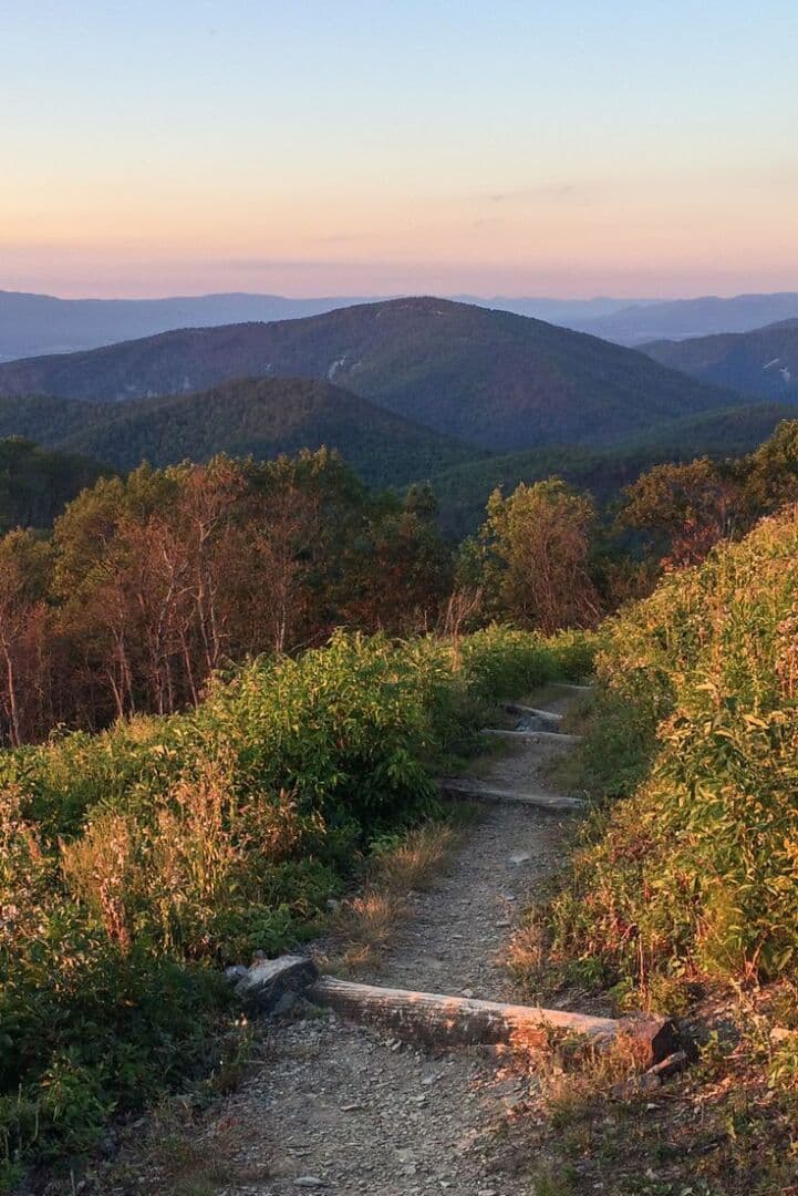 Hiking Trails in California