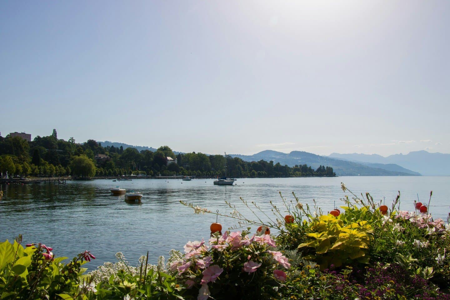 Accommodation options in Geneva