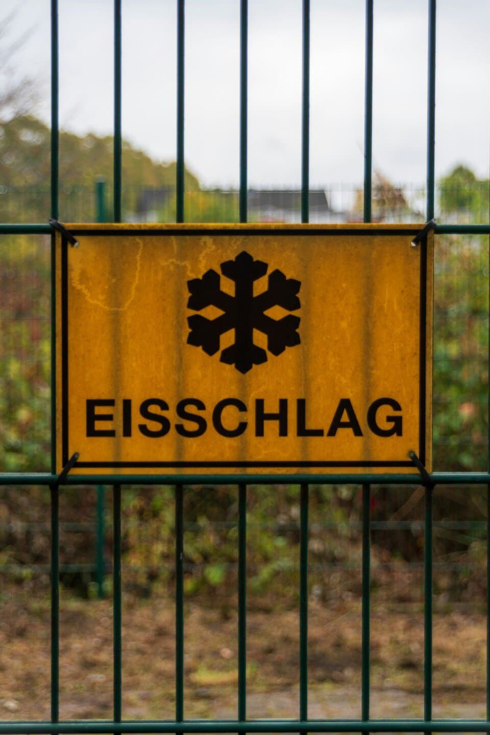 Edible Basel corners