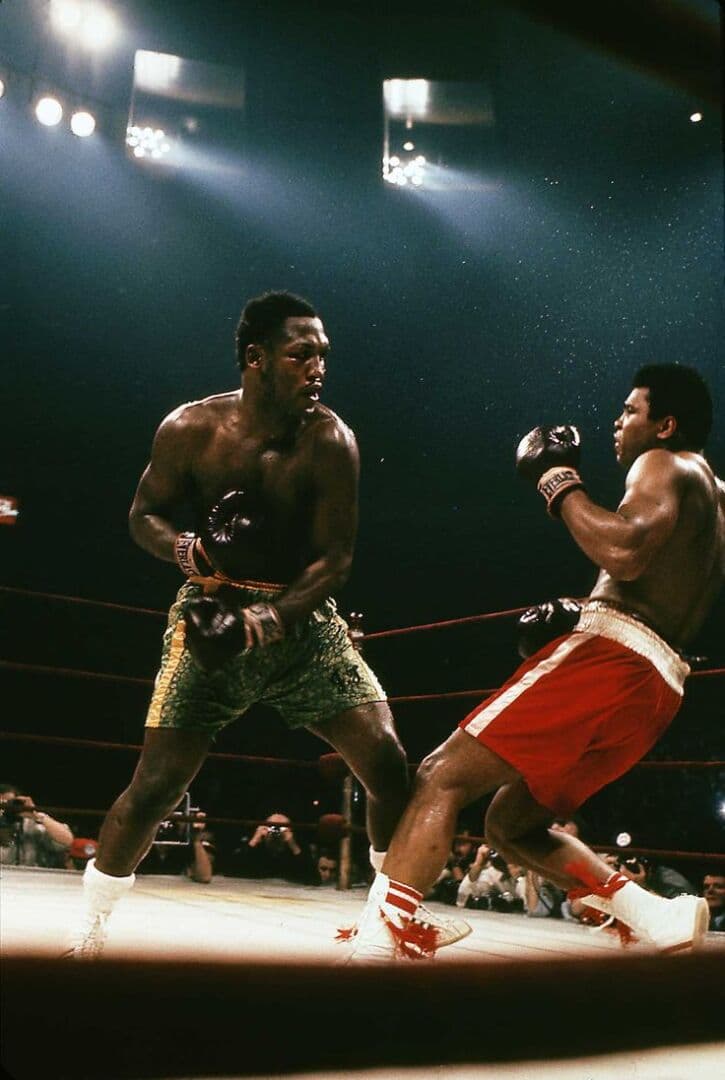 Discipline and Adrenaline: Sports Documentaries