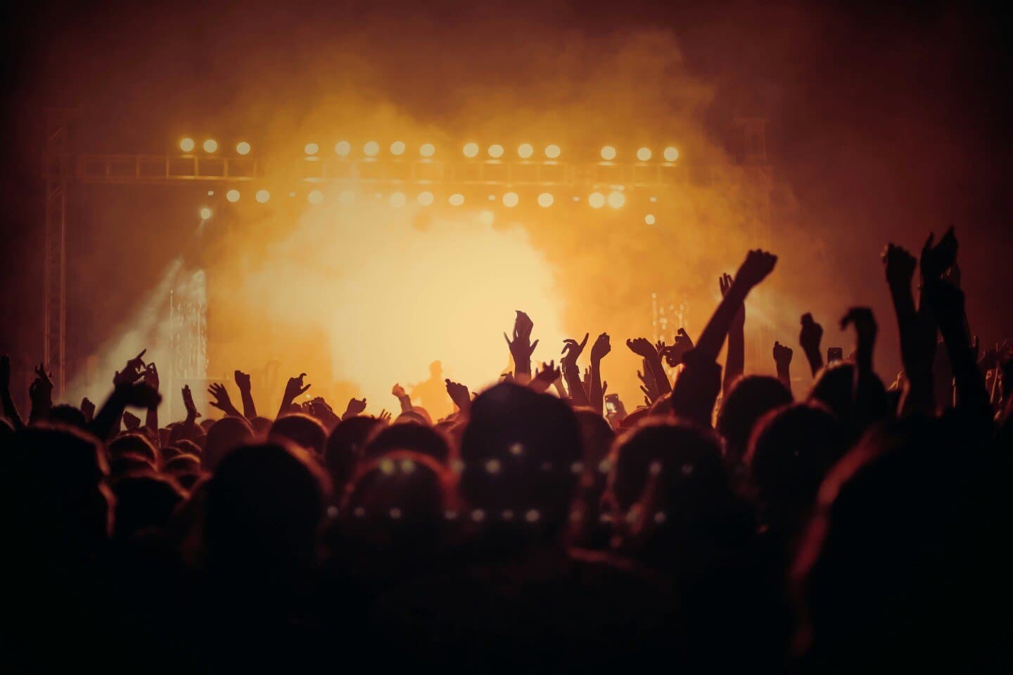 Concerts à voir
