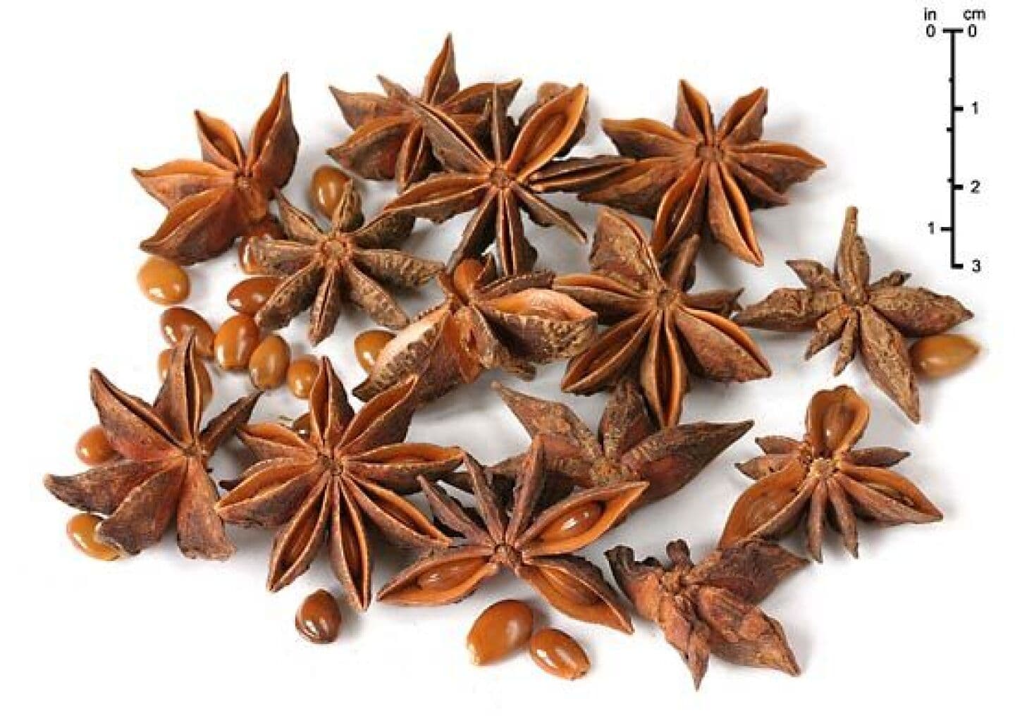 Star Anise, image 1 of 1