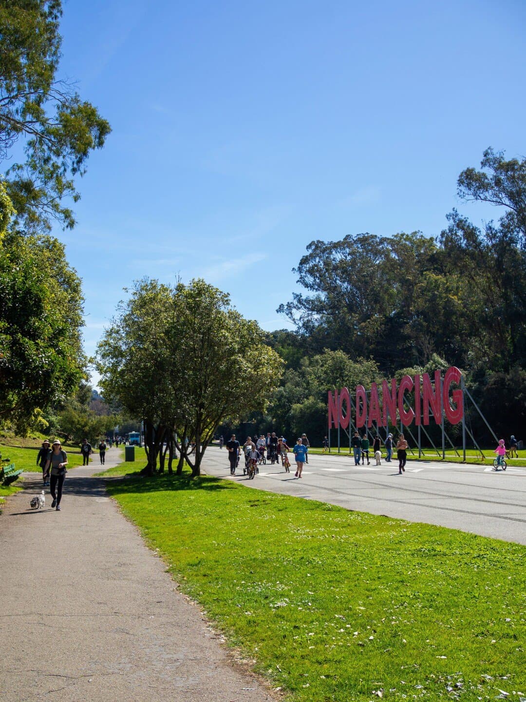 Golden Gate Park Polo Fields, image 1 of 1