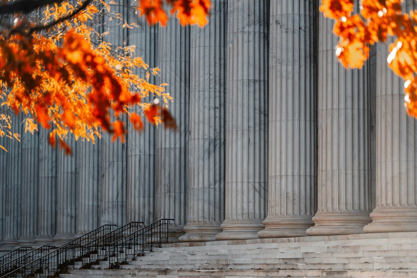 Anatomy of a Fall, image 1 of 1