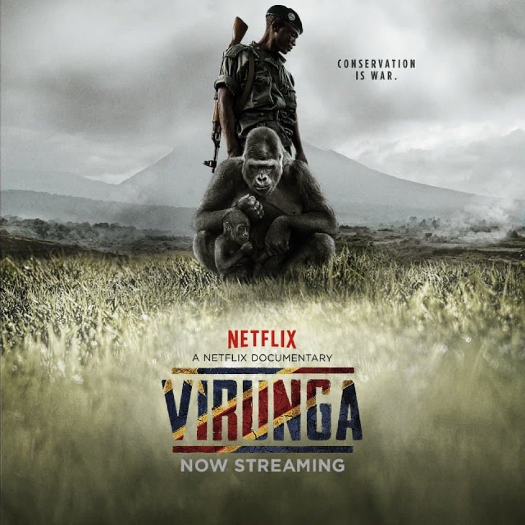 Virunga, image 1 of 1