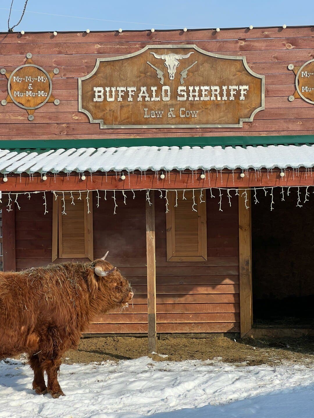 Buffalo Trace Bourbon, image 1 of 1