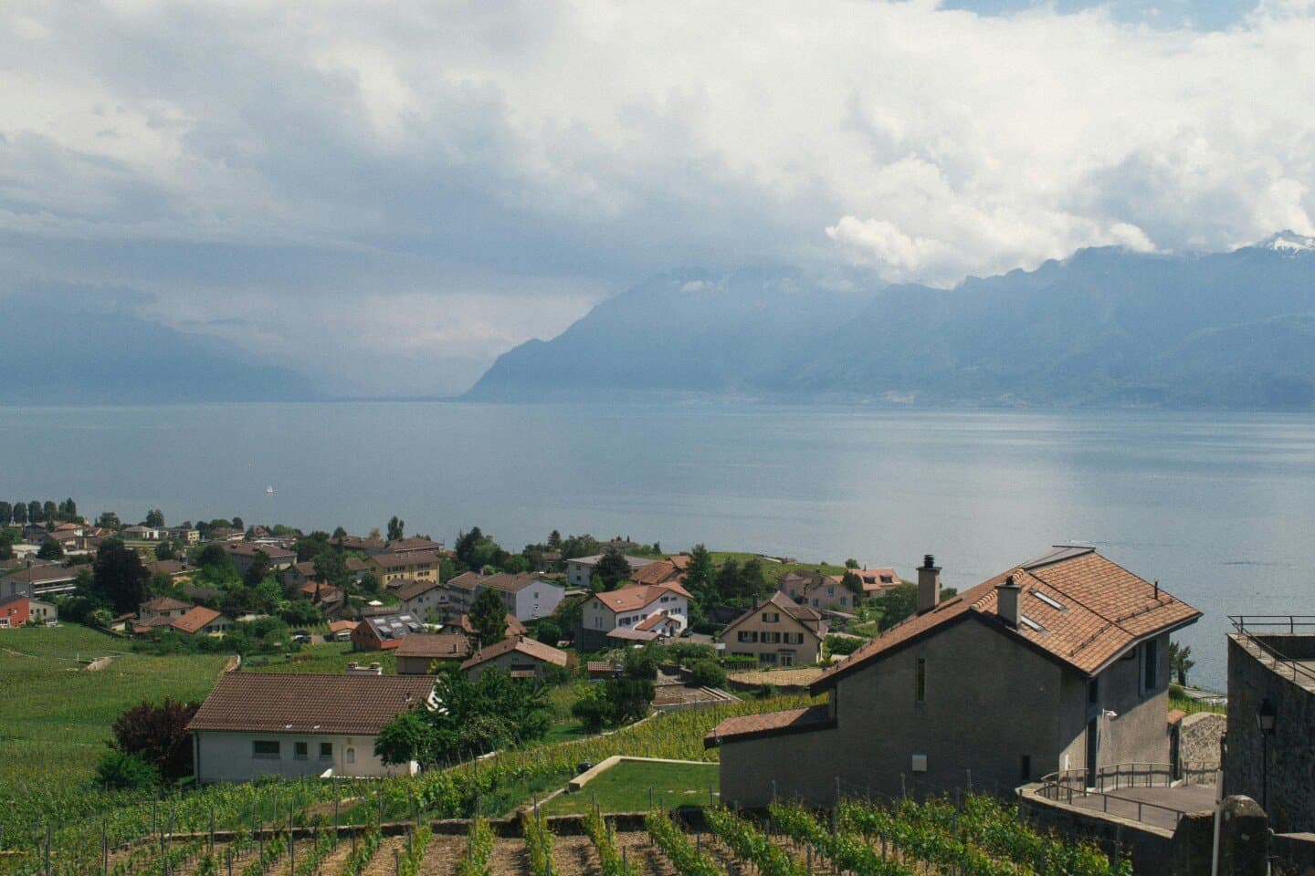 Dézaley Grand Cru, image 1 of 1