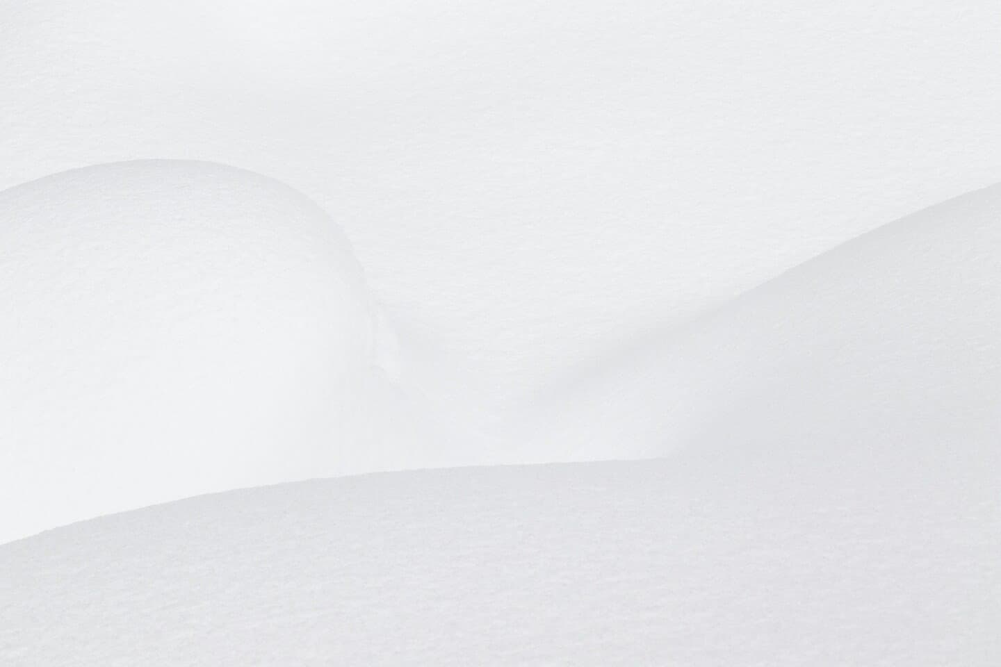 White Noise, image 1 of 1