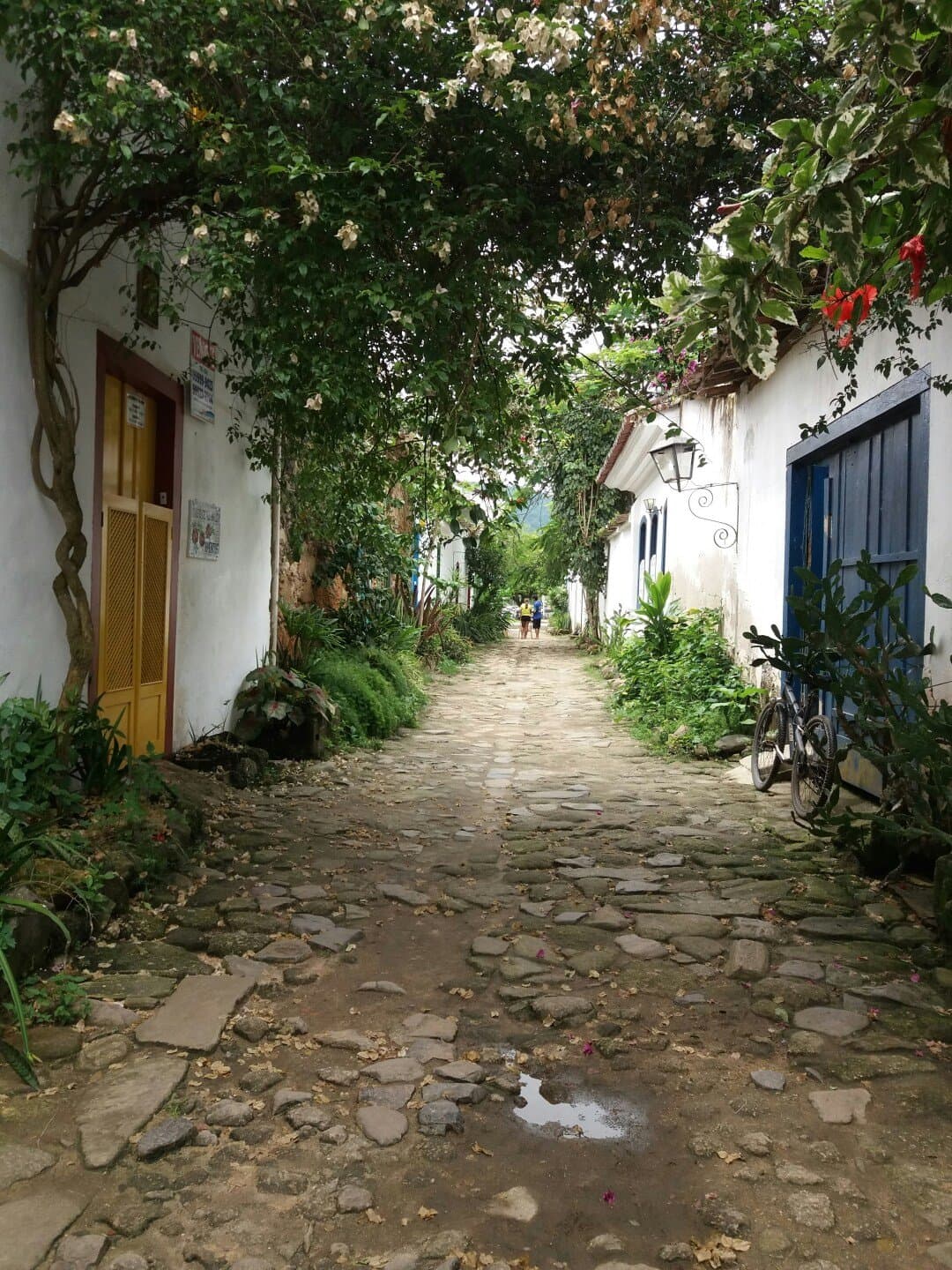 Pedra do Sal, image 1 of 1